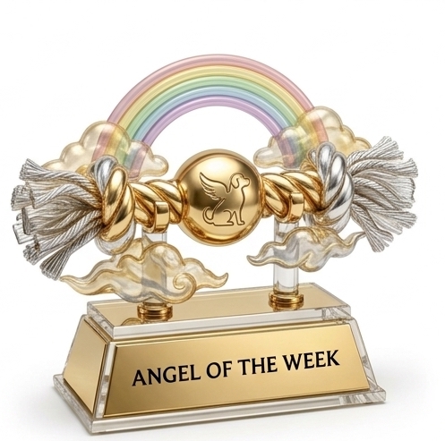 an angel of the week award